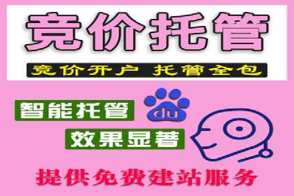 百度广告投放策略优化的经典案例